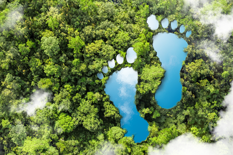 PPFP: Sustainability and Ecological Footprint at OpenEU
